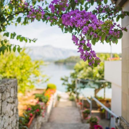 Apartments By The Sea Lumbarda, Korcula - 4446 エクステリア 写真