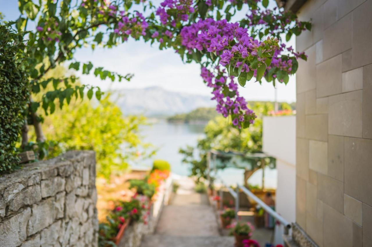 Apartments By The Sea Lumbarda, Korcula - 4446 エクステリア 写真