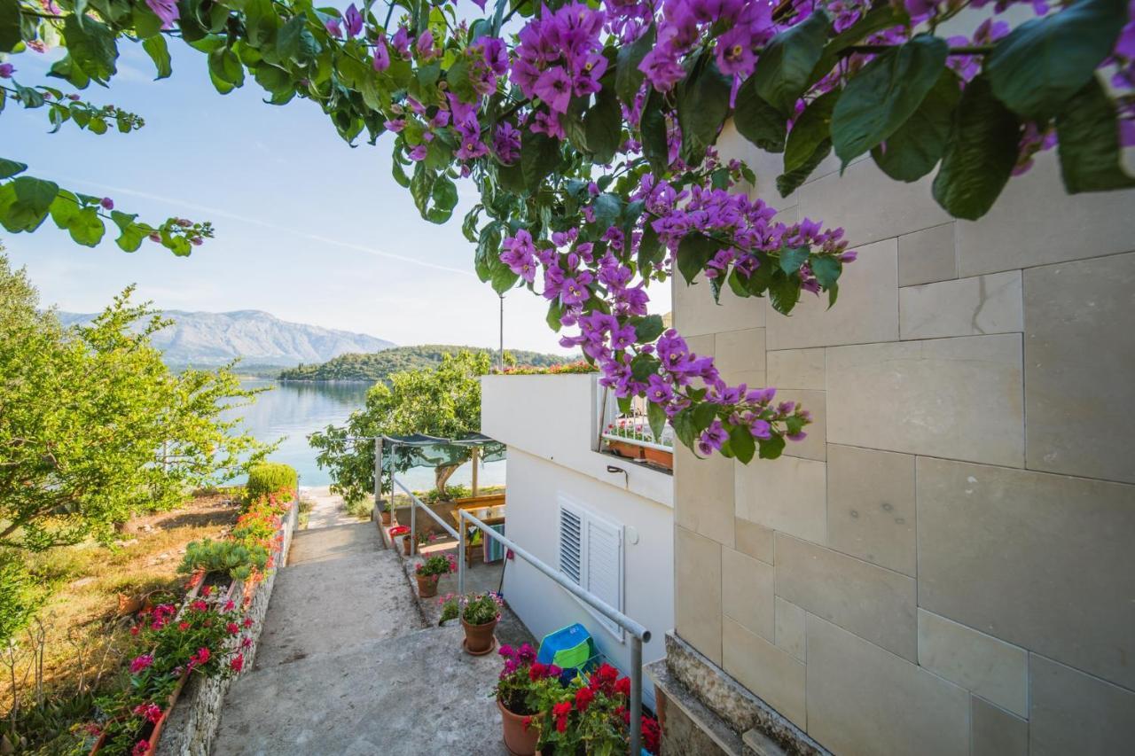 Apartments By The Sea Lumbarda, Korcula - 4446 エクステリア 写真