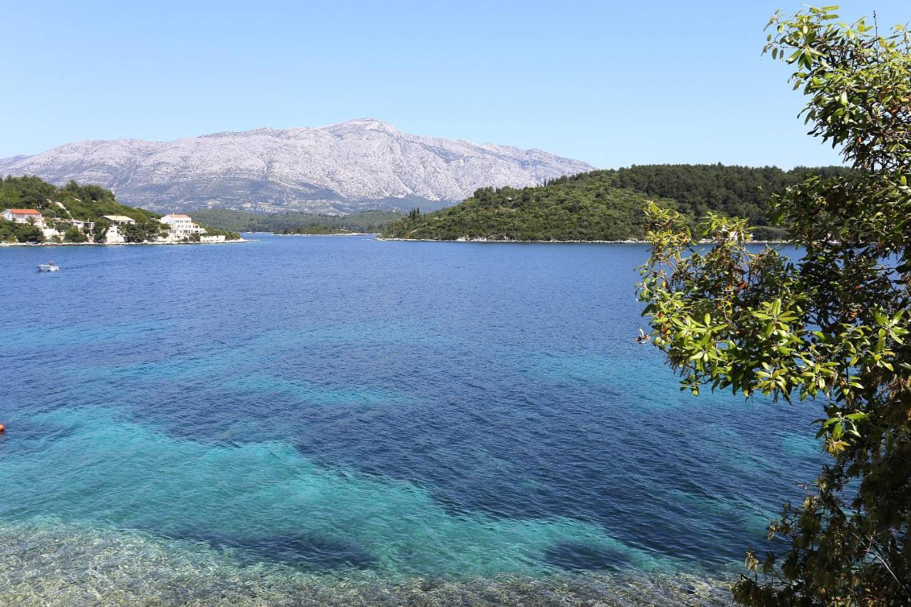 Apartments By The Sea Lumbarda, Korcula - 4446 エクステリア 写真
