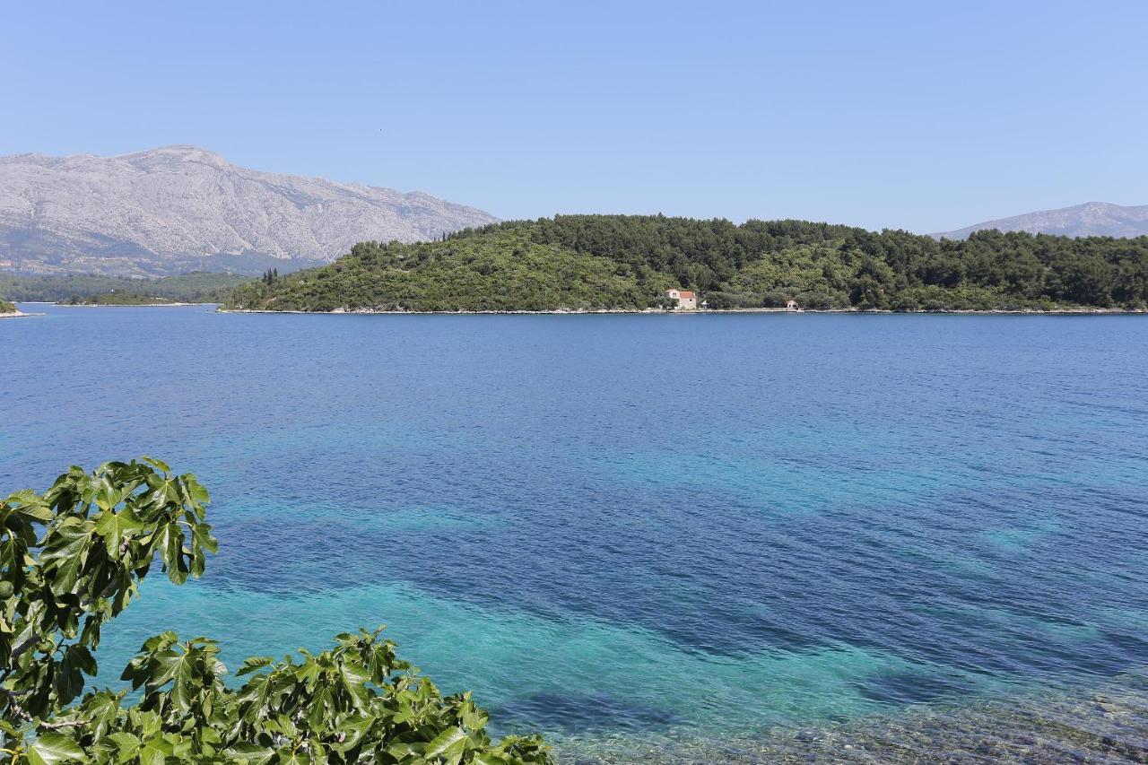 Apartments By The Sea Lumbarda, Korcula - 4446 エクステリア 写真